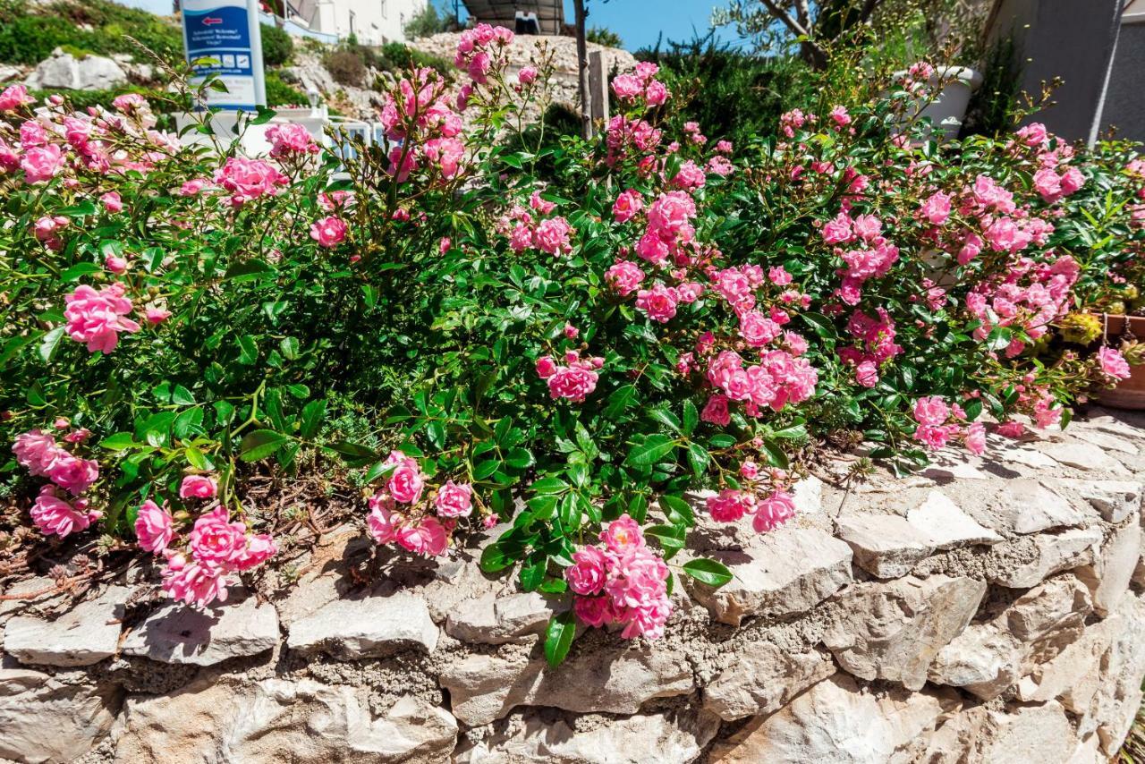 Apartmani Gelo Klek Exteriér fotografie